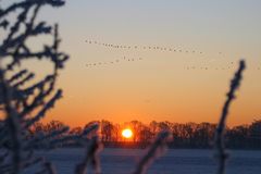 Sonnenaufgang in den Rurauen