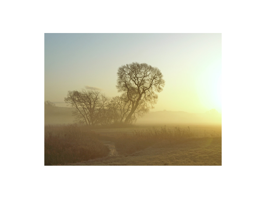 Sonnenaufgang in den Schwalmwiesen