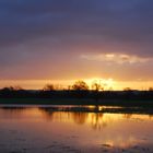 Sonnenaufgang in den Siegniederungen