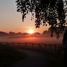 Sonnenaufgang in den Steverauen