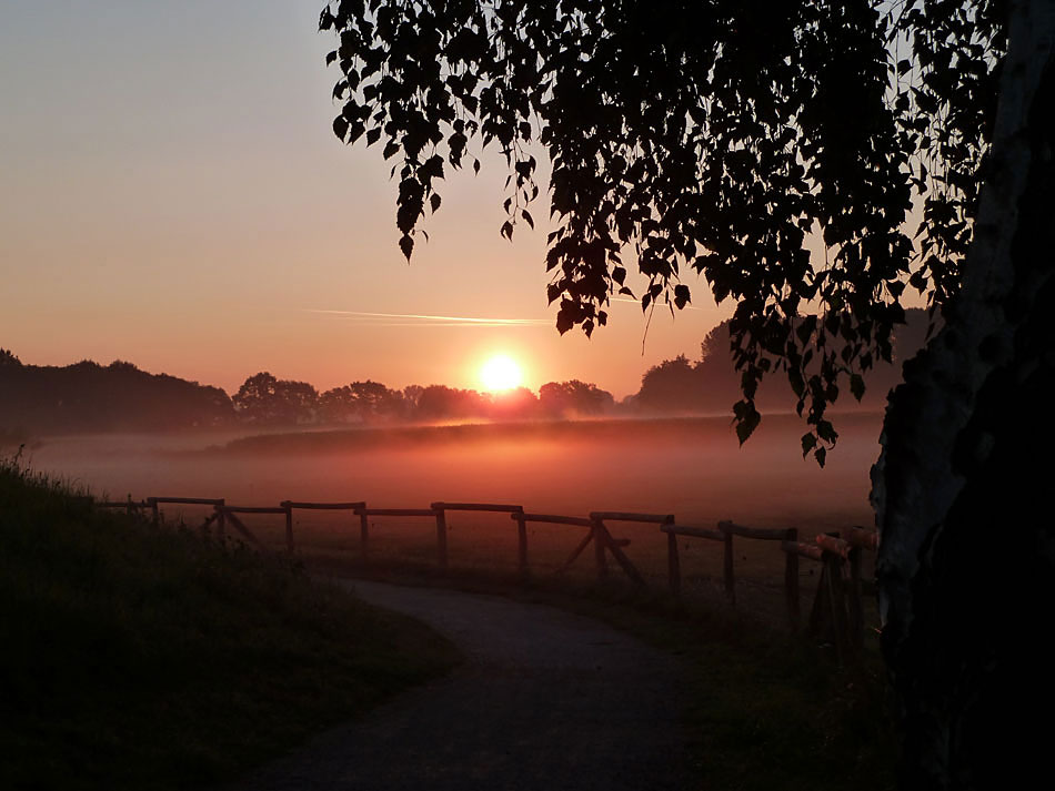 Sonnenaufgang in den Steverauen