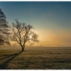 Sonnenaufgang in den Werraauen