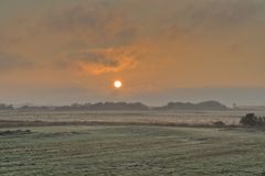 Sonnenaufgang in den Wiesen auf Sylt (Keitum)