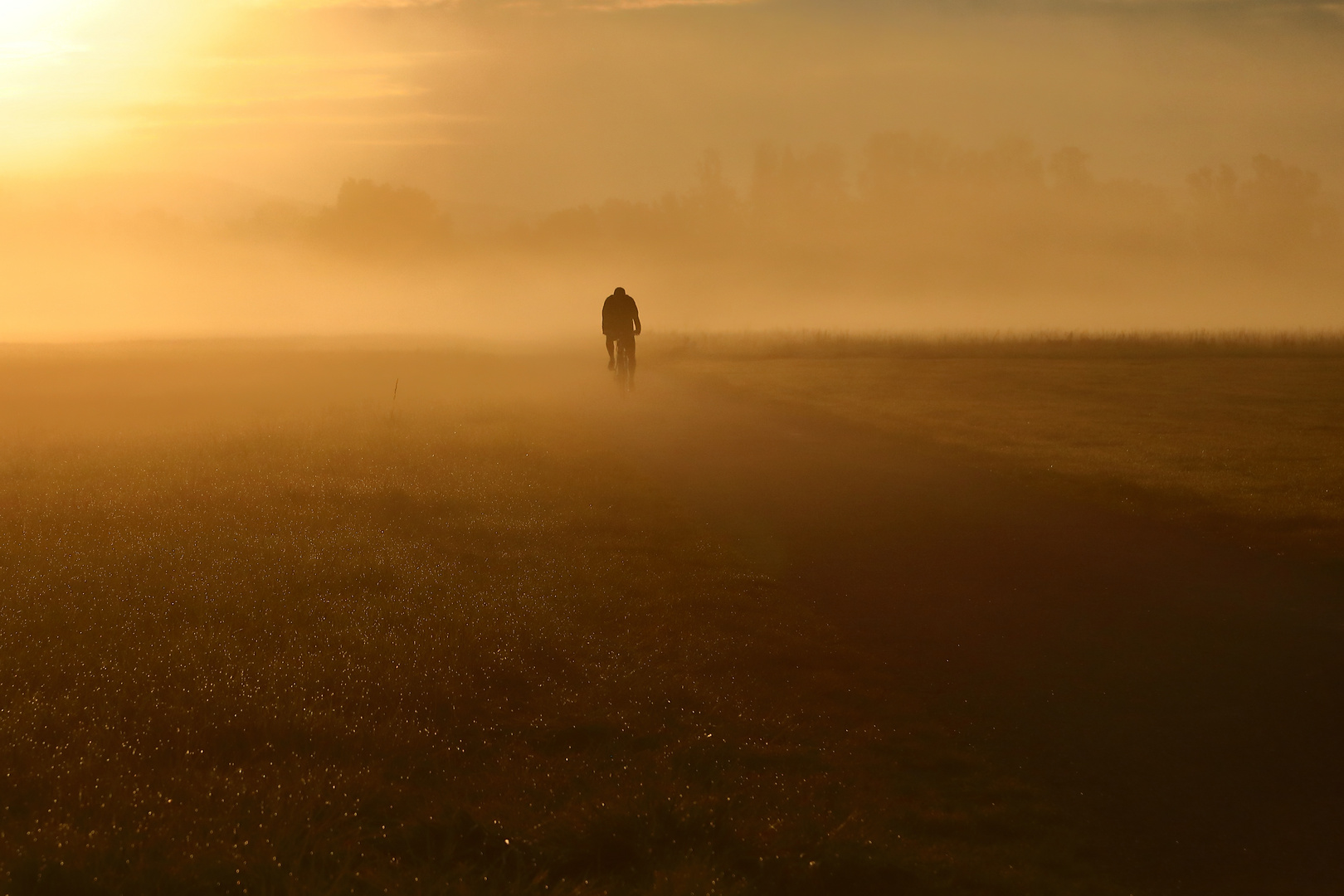 Sonnenaufgang in den  Wörnitzwiesen