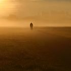 Sonnenaufgang in den  Wörnitzwiesen