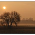 Sonnenaufgang in der bayrischen Savanne