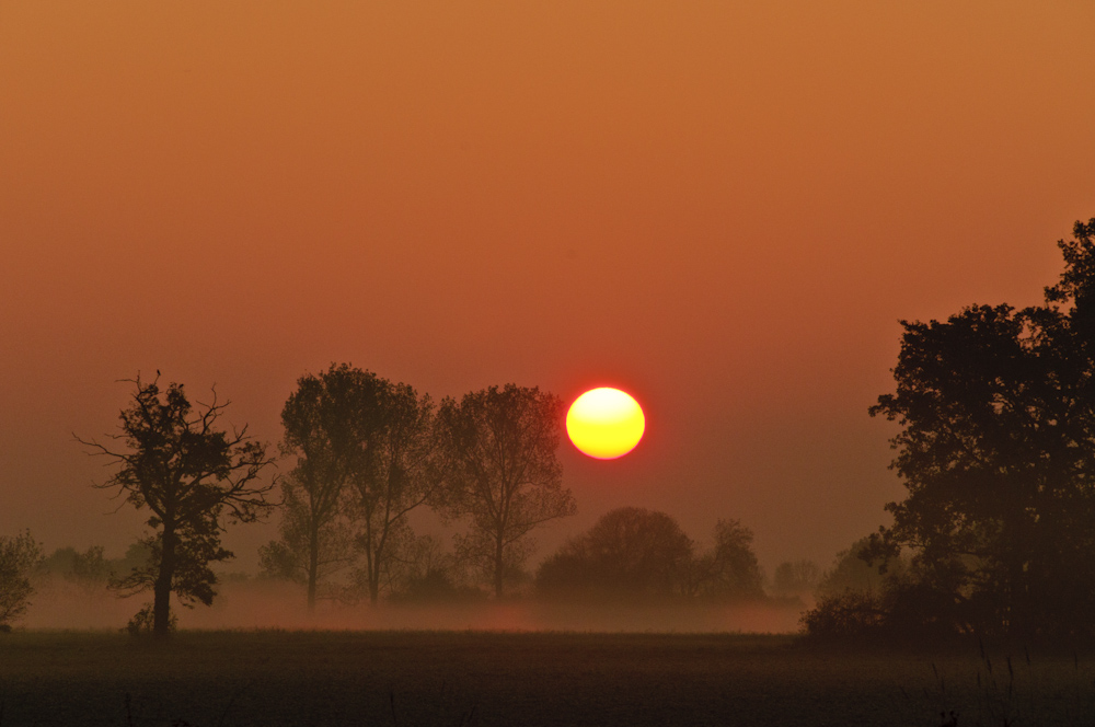 Sonnenaufgang in der bayrischen Steppe...