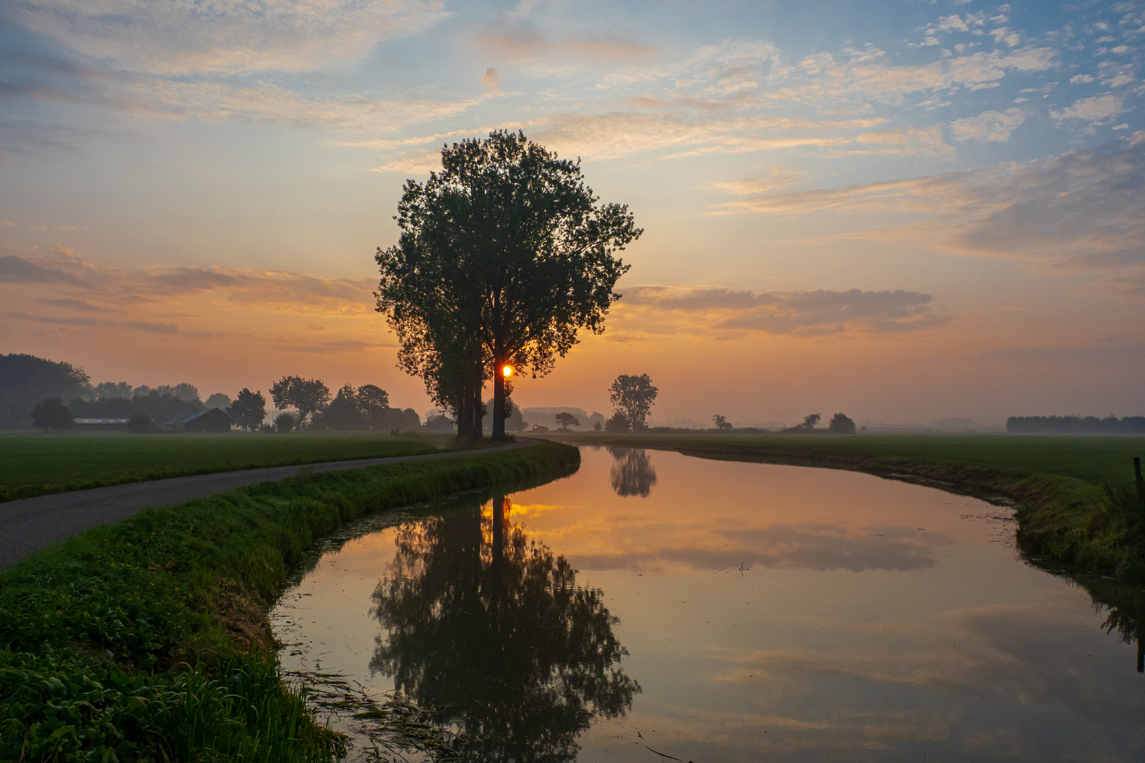 Sonnenaufgang in der Betuwe (Holland)