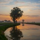 Sonnenaufgang in der Betuwe (Holland)