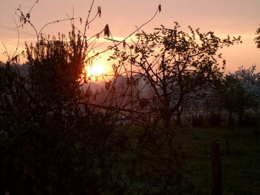 Sonnenaufgang in der Blüte