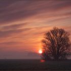 sonnenaufgang in der boddenregion