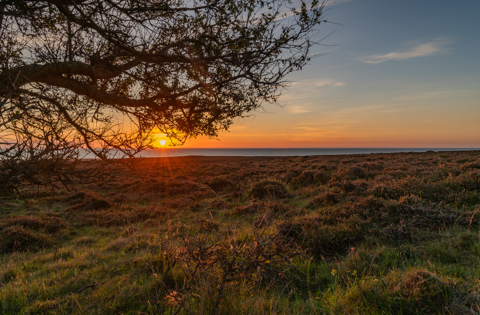 Sonnenaufgang in der Braderuper Heide