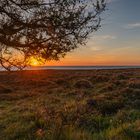 Sonnenaufgang in der Braderuper Heide