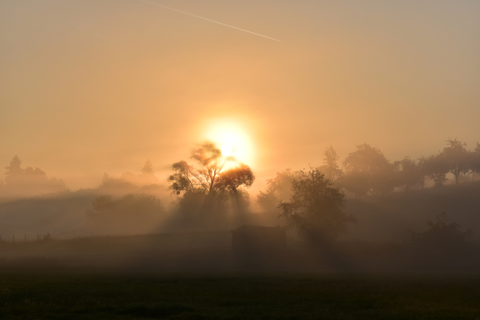 Sonnenaufgang in der "Bruchwiese"