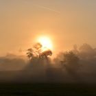 Sonnenaufgang in der "Bruchwiese"