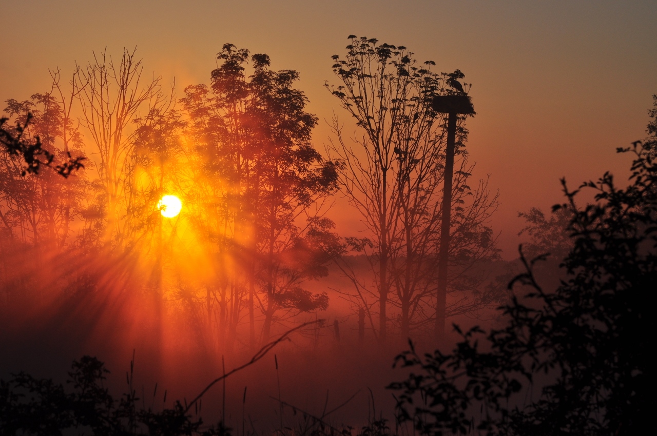 Sonnenaufgang in der Disselmersch bei Lippborg