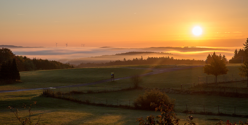 Sonnenaufgang in der Eifel