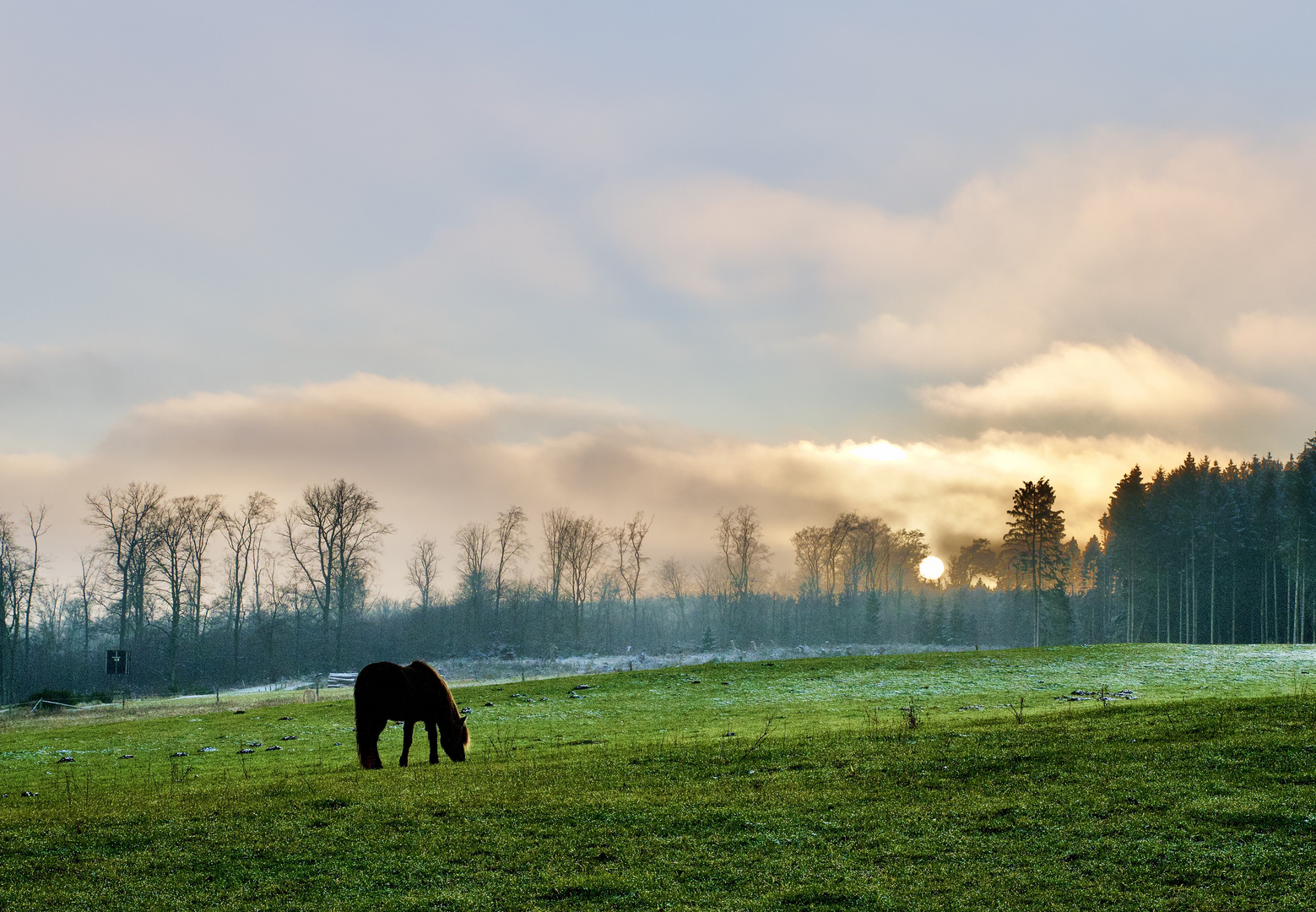 Sonnenaufgang in der Eifel