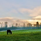 Sonnenaufgang in der Eifel