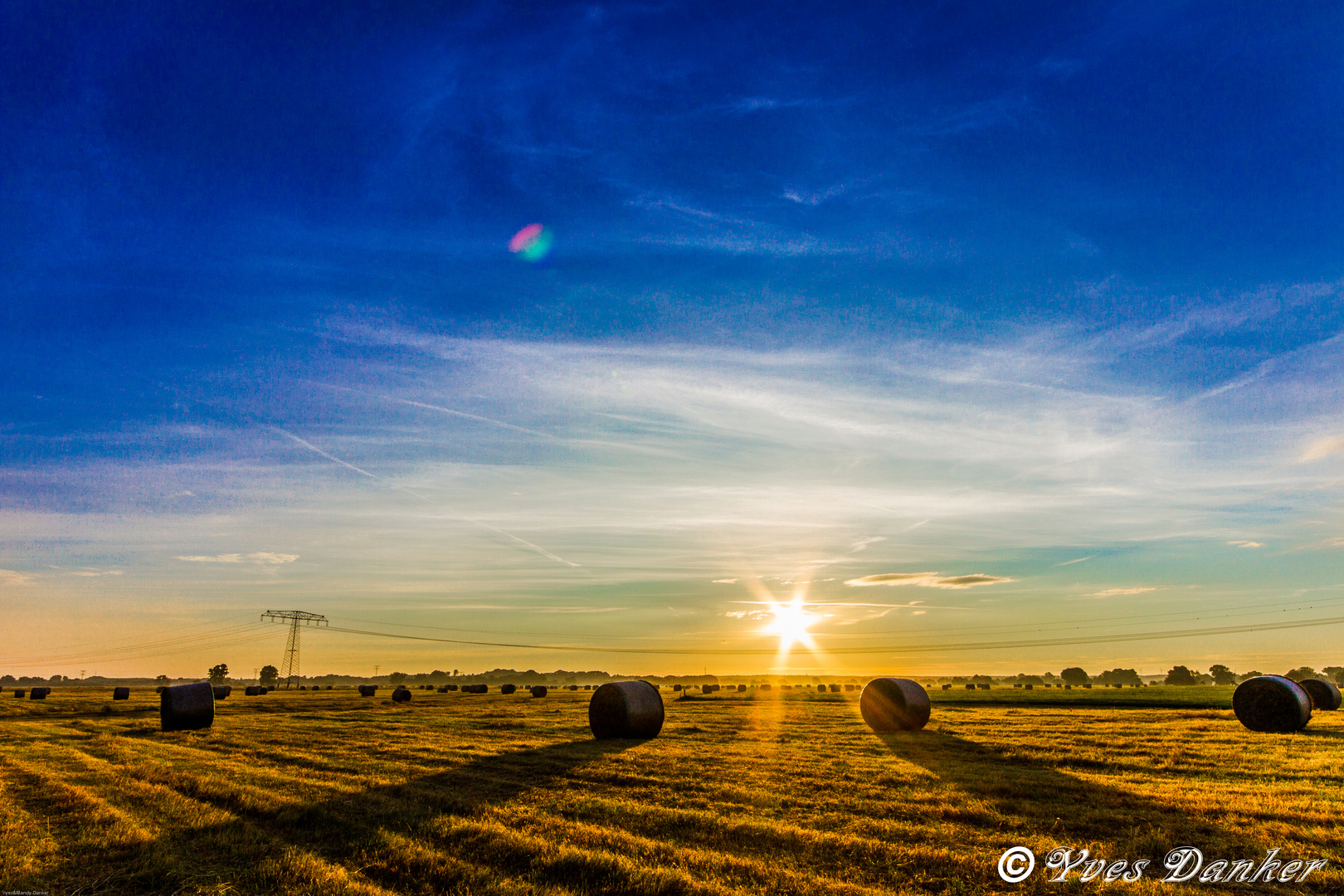 Sonnenaufgang in der Elbaue