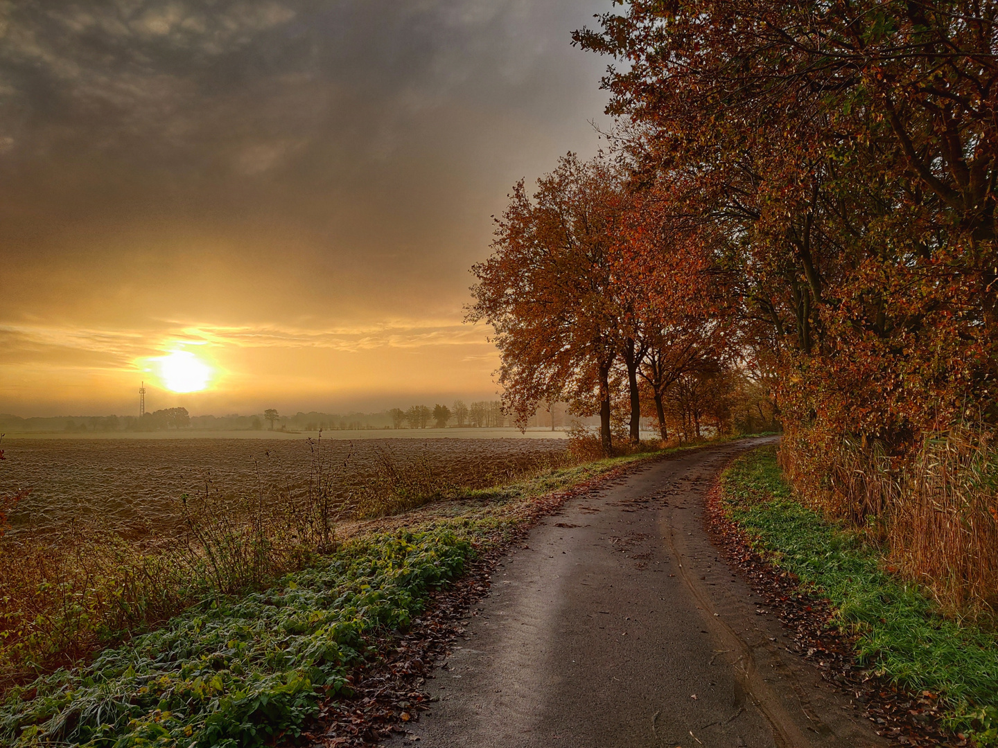 Sonnenaufgang in der Elbmarsch