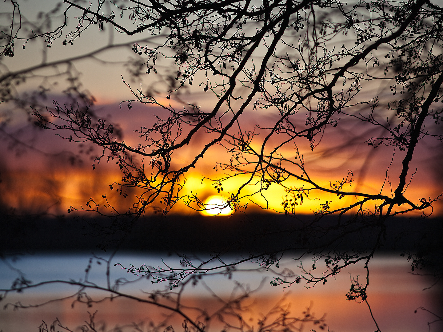 Sonnenaufgang in der Elbtalaue