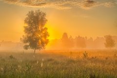 Sonnenaufgang in der Elmpter Heide