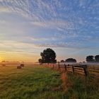 Sonnenaufgang in der Feldmark 