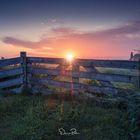 Sonnenaufgang in der Gemeinde Zaanstad