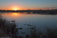 Sonnenaufgang in der Goitzsche-Wildnis