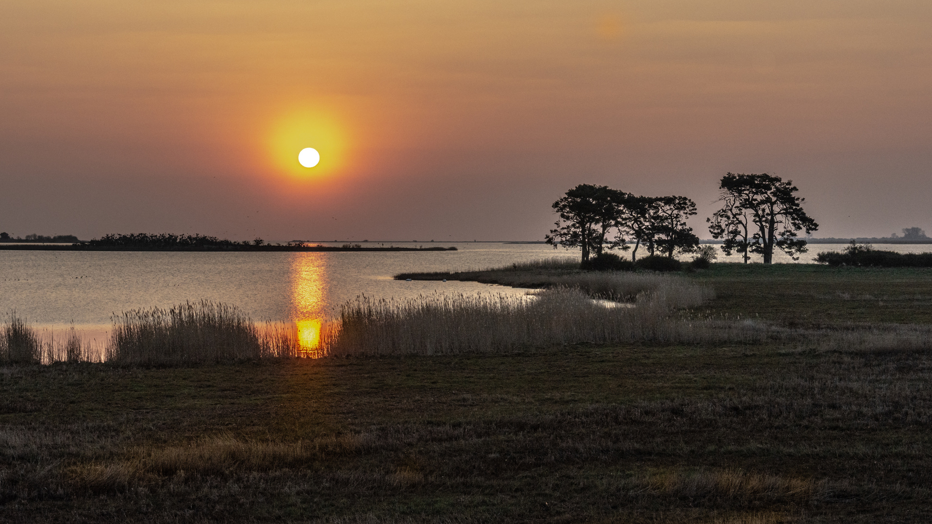 Sonnenaufgang in der Gristower Wiek_