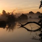 Sonnenaufgang in der Hammer Lippeaue