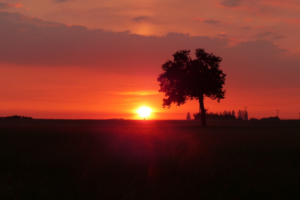 Sonnenaufgang in der Hammer Lippeaue