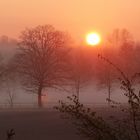 Sonnenaufgang in der Hammer Lippeaue