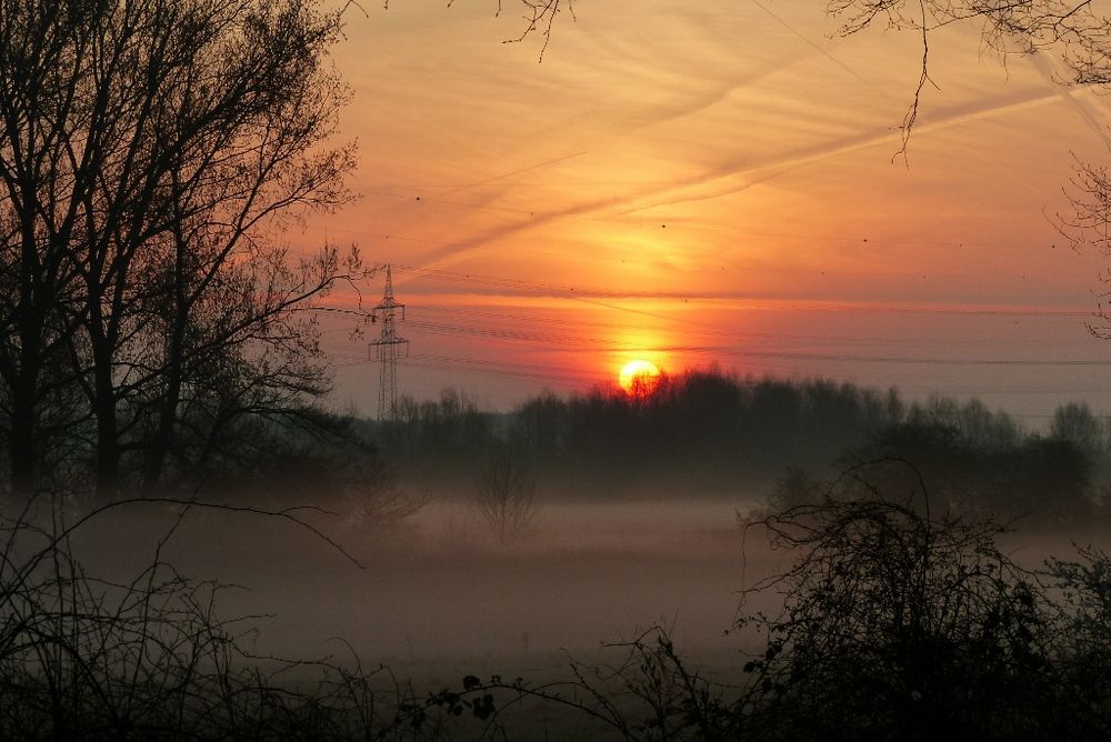 Sonnenaufgang in der Hammer Lippeaue Foto & Bild | sonnenaufgang ...