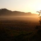 Sonnenaufgang in der Hammer Lippeaue