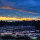 Sonnenaufgang in der Heide