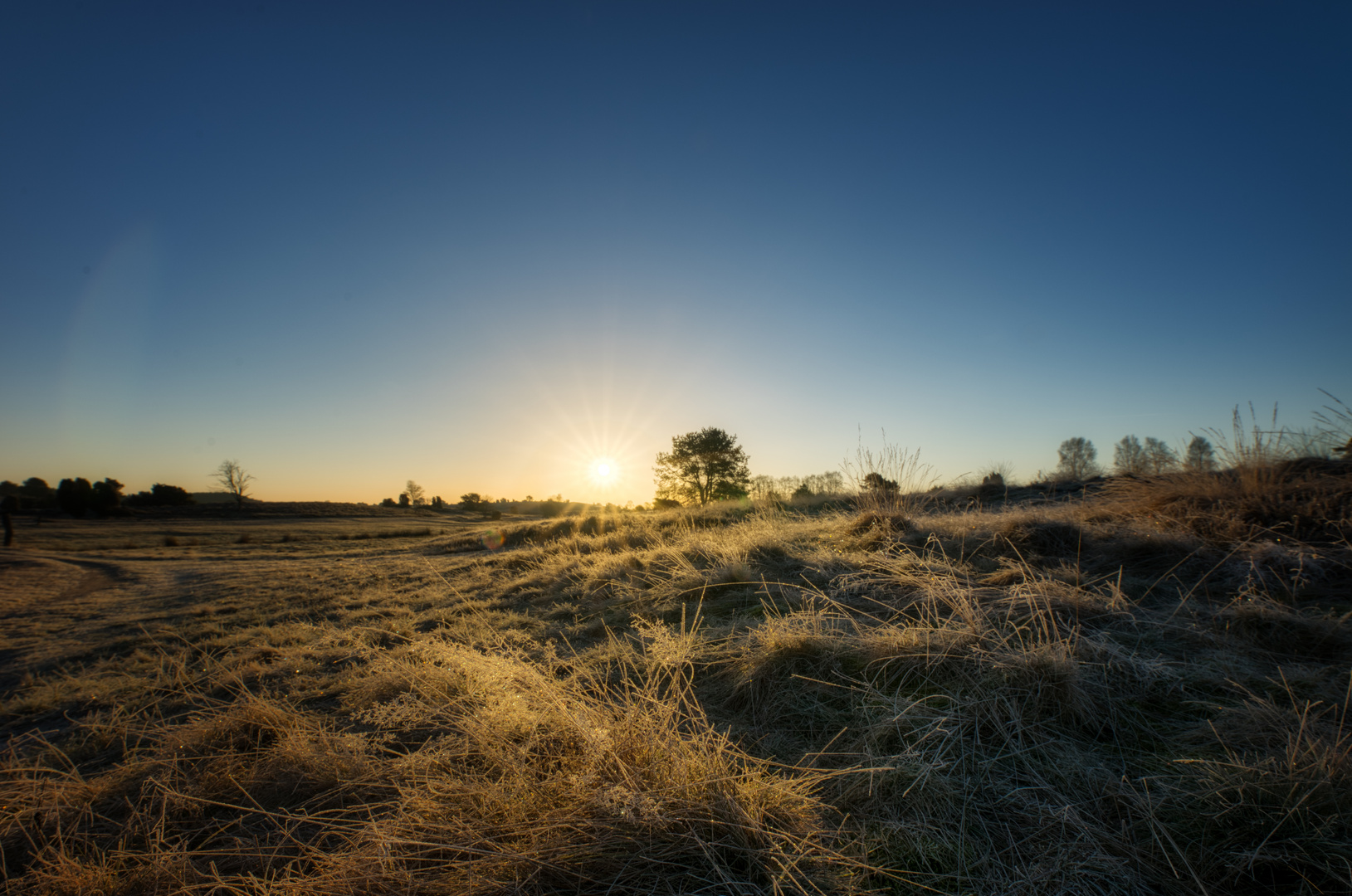 Sonnenaufgang in der Heide - 1