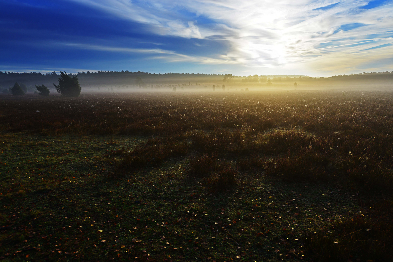 Sonnenaufgang in der Heide