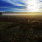 Sonnenaufgang in der Heide