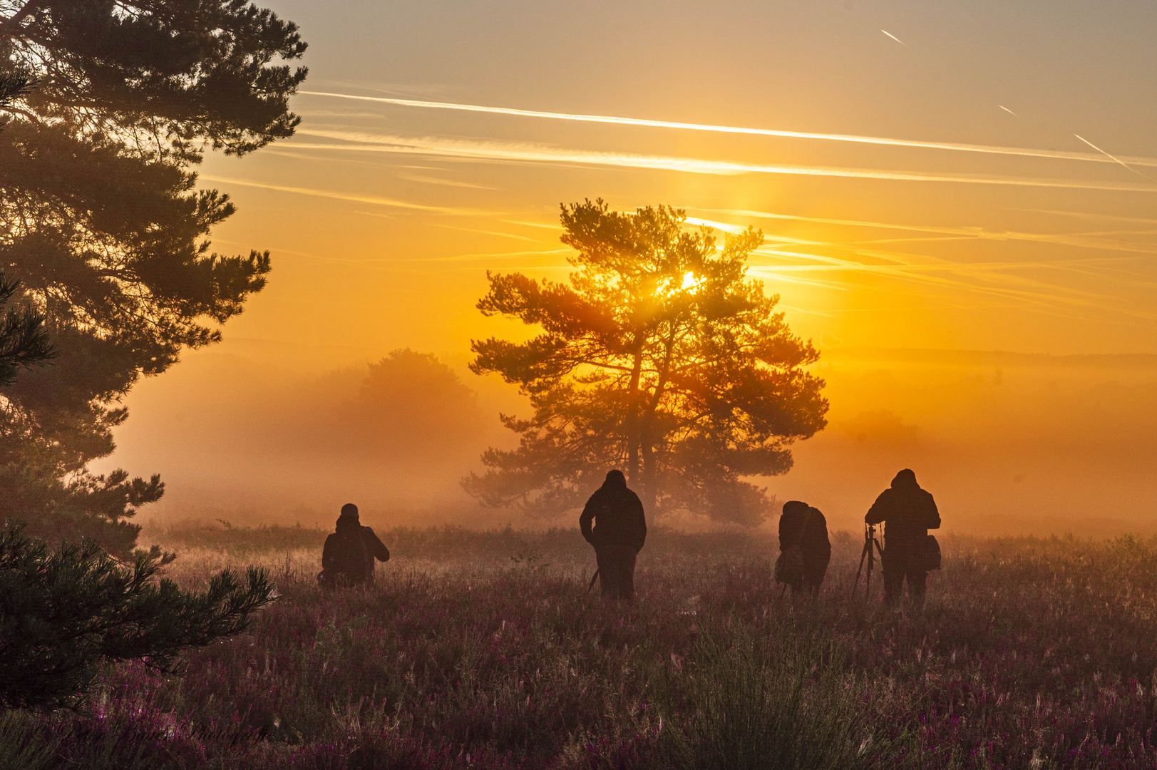 Sonnenaufgang in der Heide