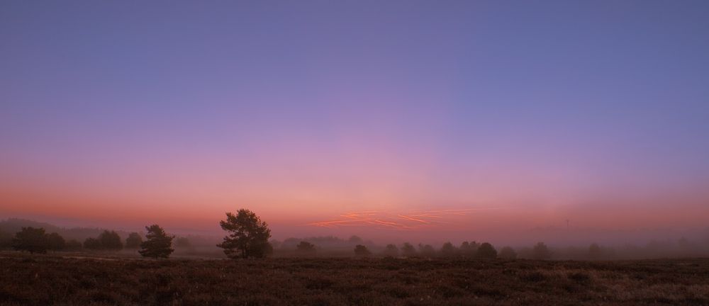 Sonnenaufgang in der Heide