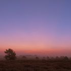 Sonnenaufgang in der Heide