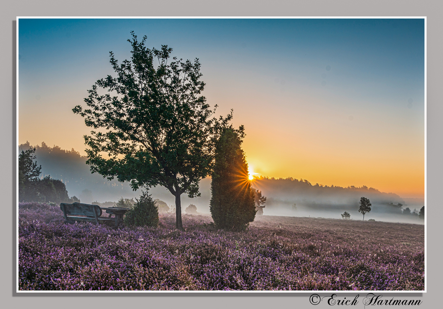 Sonnenaufgang in der Heide