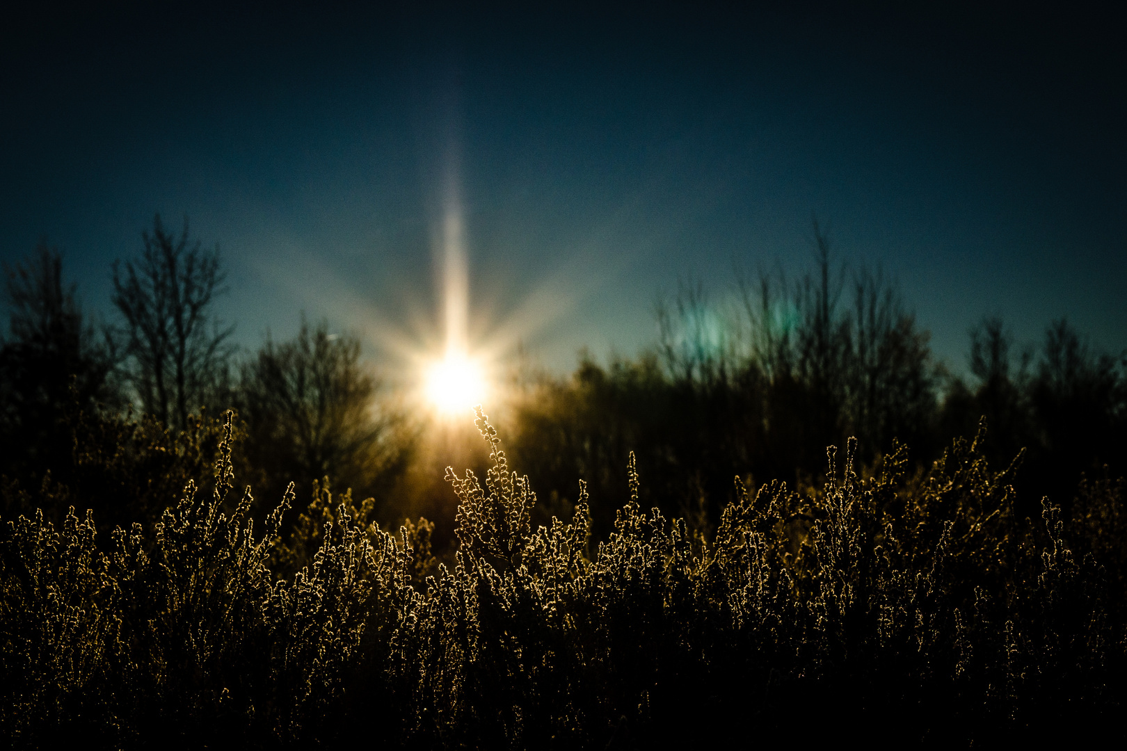 Sonnenaufgang in der Heide