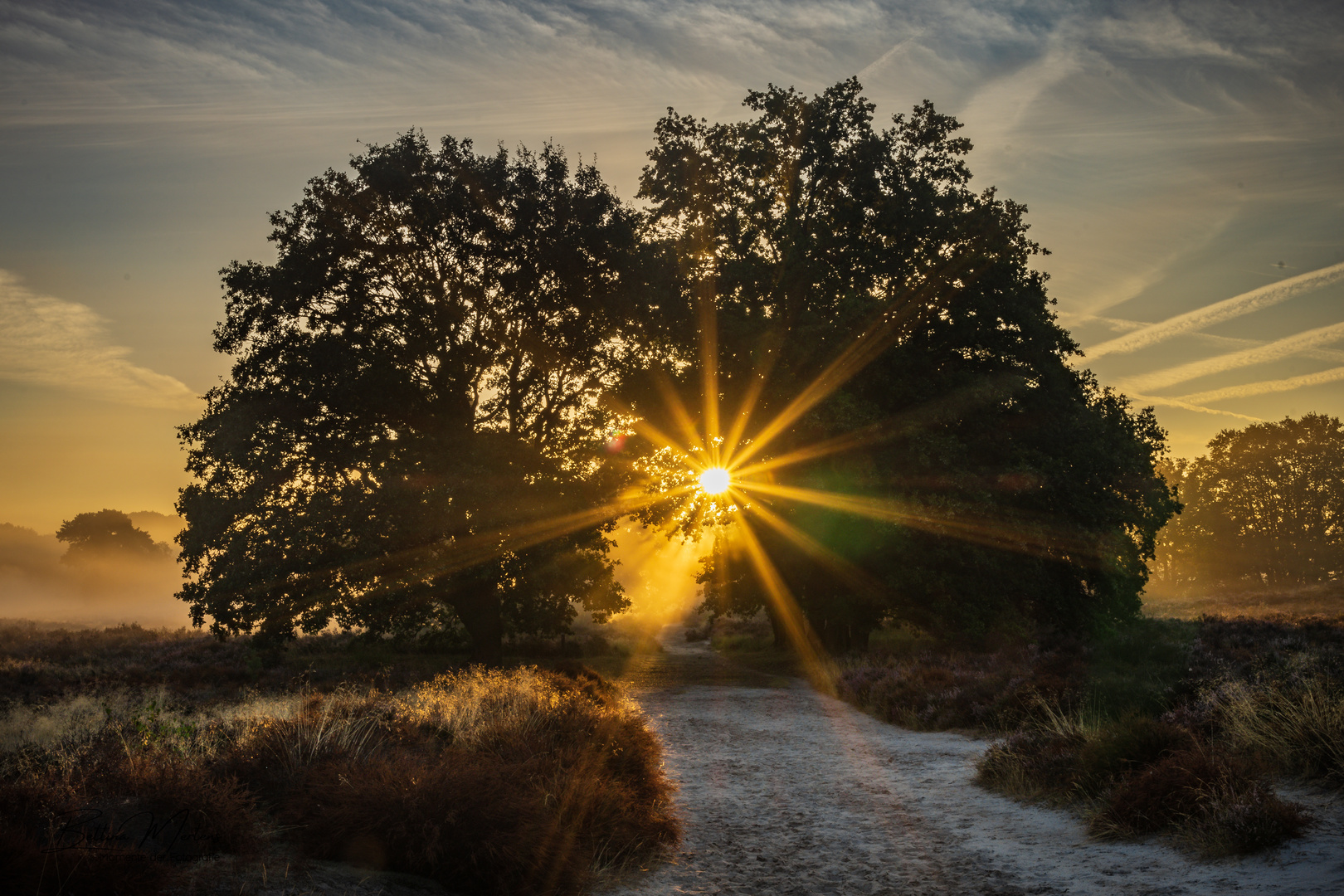 Sonnenaufgang in der Heide