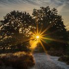 Sonnenaufgang in der Heide