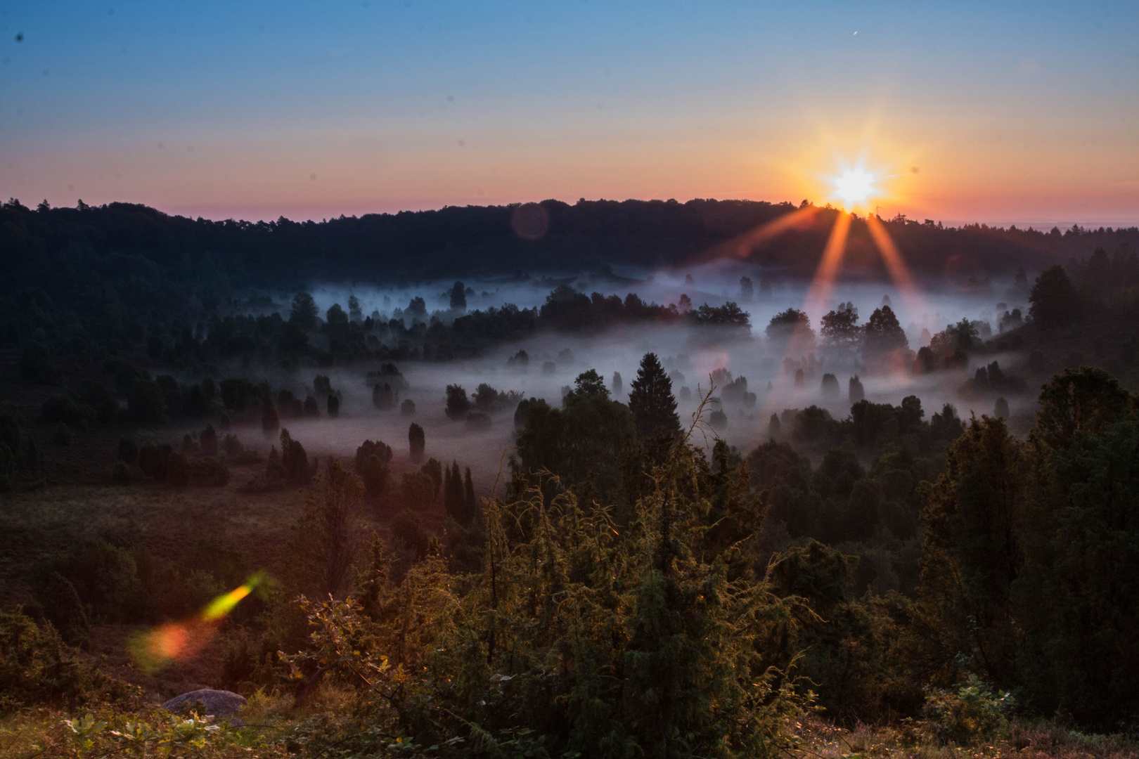 Sonnenaufgang in der Heide