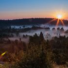 Sonnenaufgang in der Heide