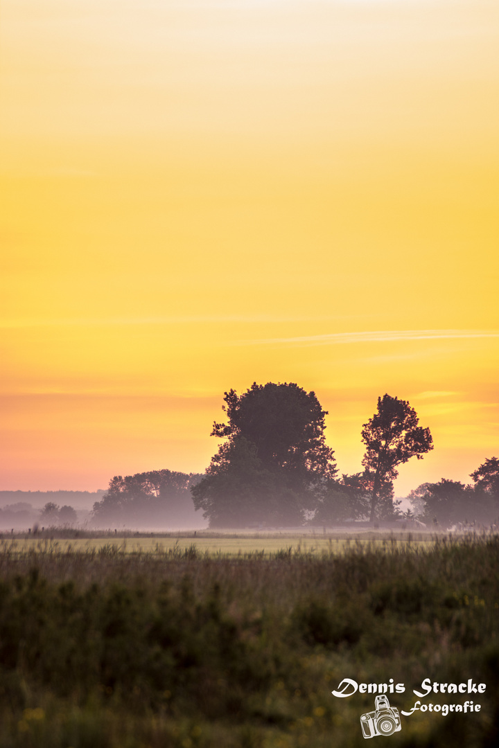 Sonnenaufgang in der Heide